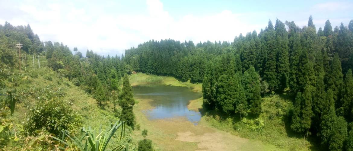 Nature Lover Homestay -Sittong Homestay